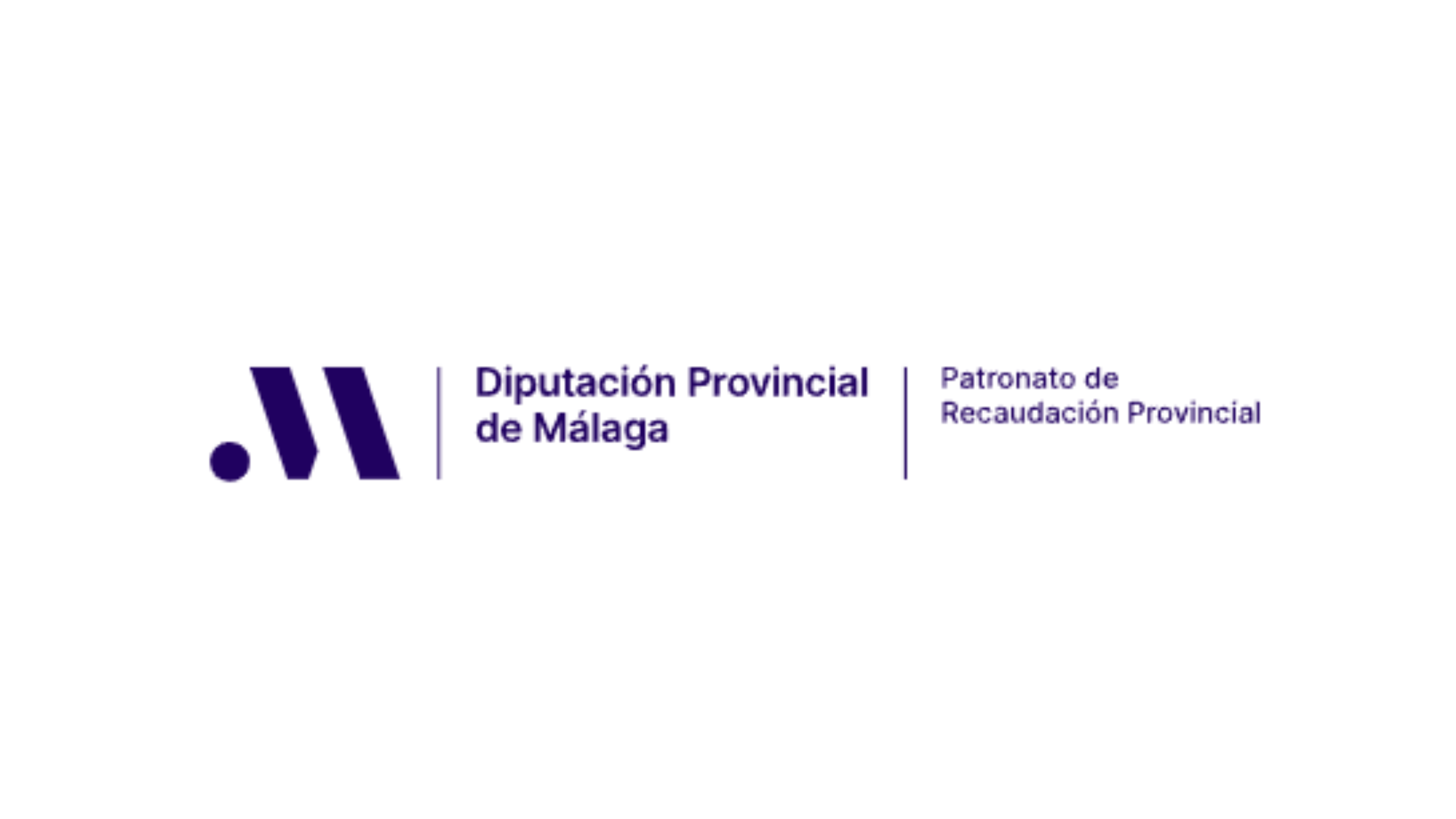 Aprobada Oferta de Empleo Público 2024 del Patronato de Recaudación Provincial (BOP 22-11-2024).